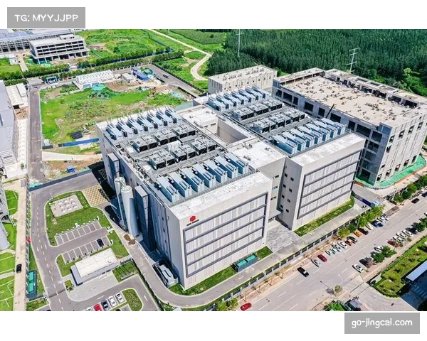 德甲俱乐部2025年财报陆续公布，比赛日收入普遍回升